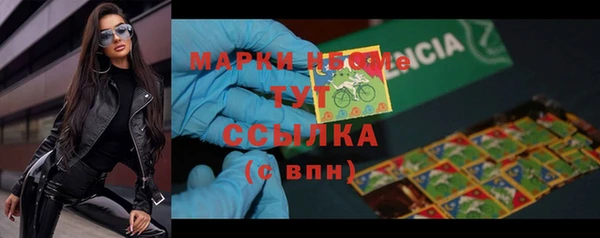 хмурый Алексин