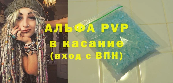 хмурый Алексин