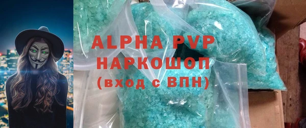 хмурый Алексин